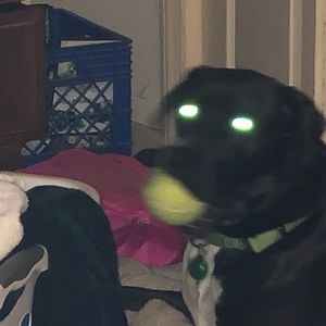 Meet your Posher, Stacey